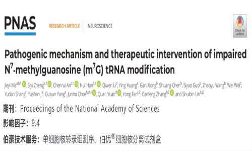 项目文章 | 单细胞核转录组测序揭示 N7- 甲基鸟苷酸（m7G）tRNA 修饰减弱的致病机理