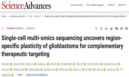 Sci Adv | 陈亮 / 刘宝辉 / 顾颖利用单细胞多组学探秘胶质瘤的空间异质性