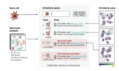 人类细胞图谱的计算技术 - 细胞类型注释