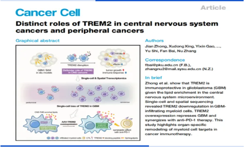 项目文章 |Cancer Cell-TREM2 在中枢神经系统癌症和外周肿瘤中的独特作用