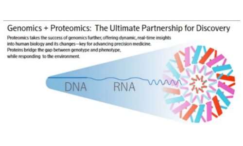 新品发布 |Olink™️ Reveal 基于 NGS 的新一代蛋白组学