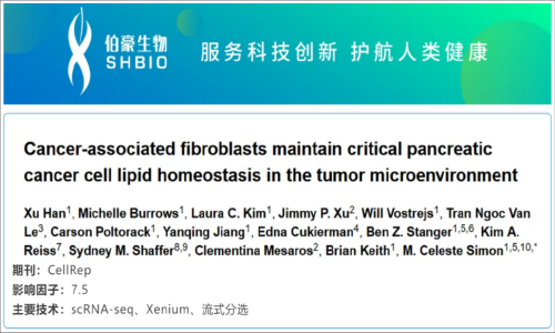 单细胞空间原位检测技术丨癌症相关成纤维细胞在肿瘤微环境中维持关键的胰腺癌细胞脂质稳态