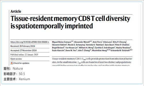 单细胞空间原位检测技术丨组织驻留记忆 CD8 T 细胞多样性具有时空印记