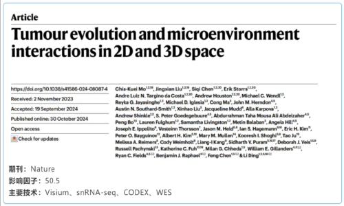 单细胞空间原位检测技术丨空间组学重构 2D 和 3D 肿瘤演化与微环境互作