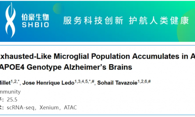 单细胞空间原位检测技术 | 耗竭样小胶质细胞在老年和 APOE4 型阿尔茨海默症患者大脑中富集
