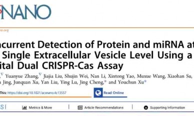 CRISPR 智库 | 数字双 CRISPR-Cas 系统：EVs 蛋白及 miRNA 多重检