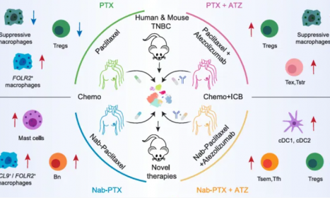 2025 顶刊文献速递 | 单细胞转录组系列（3 月）
