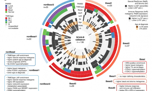 Nat Commun | 瑞典科学家绘制“乳腺癌之王”DNA 甲基化图谱，揭示两种表观遗传亚型