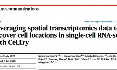 基于空间转录组学数据并通过 CeLEry 恢复 scRNA-seq 数据中的细胞位置