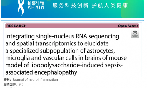 华大 DNBelab C 系列 | 单核 RNA 测序联合空间转录组学揭示脂多糖致脓毒症脑病小鼠模型胶质细胞和血管细胞特殊亚群