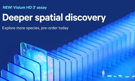 伯豪快讯 |Visium HD 3’polyA 捕获产品来了