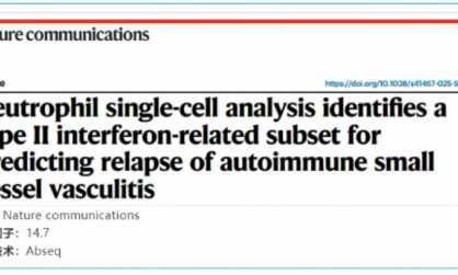 文献解读 | 中性粒细胞单细胞分析确定了 II 型干扰素相关子集，用于预测自身免疫性小血管血管炎的复发