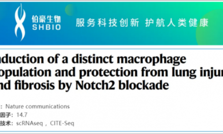 文献解读 | 通过 Notch2 阻断诱导特殊的巨噬细胞群对肺损伤和纤维化起保护作用