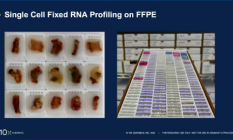 技术突破 | FFPE 样本产出高质量单细胞数据的秘籍