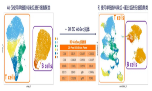 不仅可以攻克细胞亚群注释难题！单细胞转录组联合膜蛋白测序还可以……（内含福利）