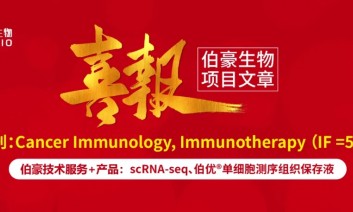 单细胞项目文章 | 谷氨酸转运蛋白 SLC1A6 促进癌症对免疫治疗的耐药性