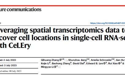 基于空间转录组学数据并通过 CeLEry 恢复 scRNA-seq 数据中的细胞位置
