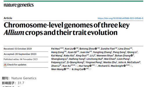 文献解读︱三种主要葱属作物的染色体水平基因组及其性状进化