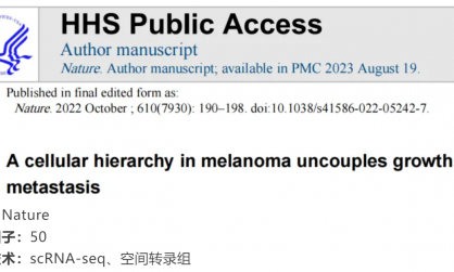 文献解读 | 黑色素瘤的细胞层次结构使生长和转移分离