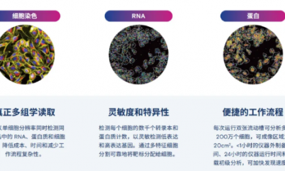 5D 原位多组学 AVITI24 靶向 panel——神经科学