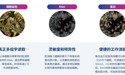 5D 原位多组学 AVITI24 靶向 panel——MAPK 细胞周期 / 细胞凋亡信号通路 panel