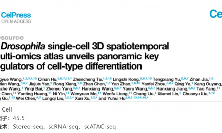 文献解读 | 果蝇单细胞三维时空多组学图谱揭示了细胞类型分化的全景关键调节因子