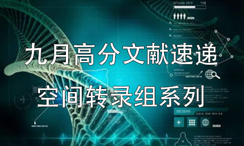 九月高分文献速递 | 空间转录组系列
