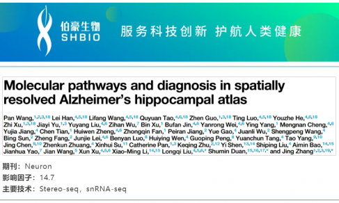 文献解读 | 阿尔茨海默症患者海马体的单细胞空间转录组图谱揭示分子通路及诊断新靶点