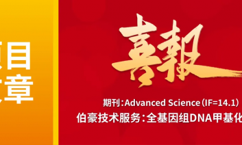 项目文章 | 全基因组 DNA 甲基化测序揭示食品级纳米颗粒通过引发神经元自噬缺陷导致阿尔茨海默病样症状
