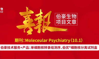 单细胞核项目文章︱Nature 子刊 - 小脑浦肯野细胞中 Bcl11a 缺失通过改变 Vav3 导致共济失调和自闭症样行为