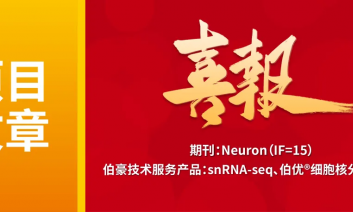 单细胞项目文章 | 分离的乳头体上核–齿状回亚回路在健康小鼠与阿尔茨海默病模型小鼠中调控认知与情感功能
