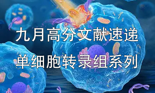 2025 顶刊文献速递 | 单细胞转录组系列（9 月）