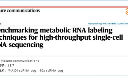 文献解读 | 评估代谢 RNA 标记技术在高通量单细胞 RNA 测序中的应用