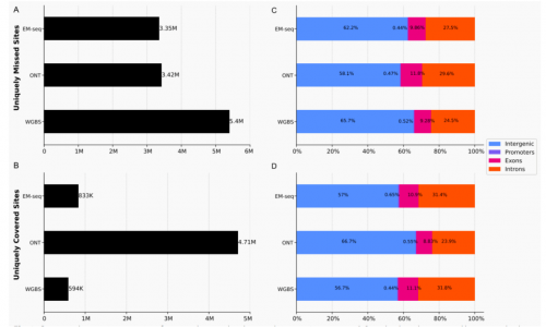 谁是 DNA 甲基化检测的“最优解”？2023–2025 四大主流技术全景比较与实证总结