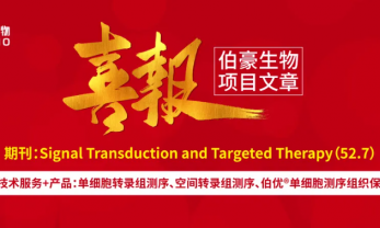 时空组学项目文章 | 时空多组学揭示 NAD 依赖的免疫抑制微环境驱动早期胃癌发生