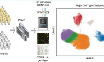 2025 顶刊文献速递 | 单细胞转录组系列（10 月）