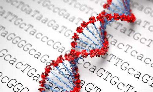 浙江大学生物信息数据分析专题研习班招生简章