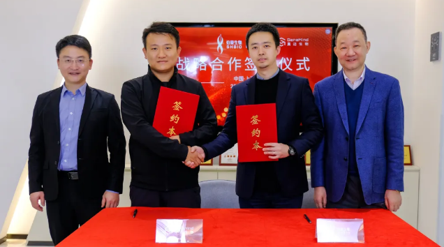 2025 年 11 月 19 日