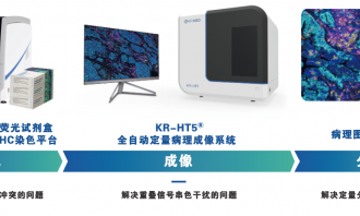 多重荧光免疫组化（mIHC) 赋能时空组学科学研究核心应用场景