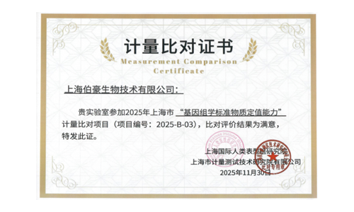 2025 年 12 月 05 日