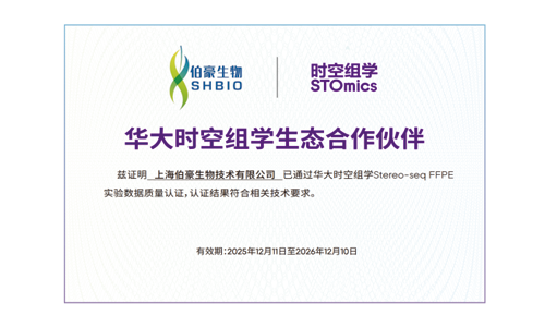 2025 年 12 月 11 日