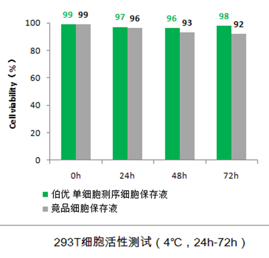 293T细胞活性测试
