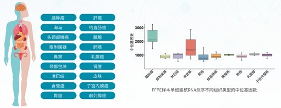 适配组织类型与箱线图