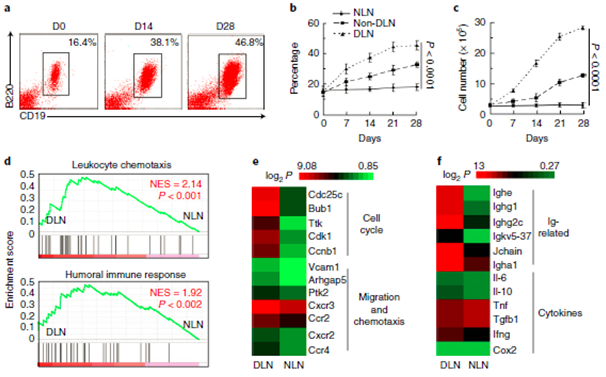 Agilent 表达谱芯片研究结果分享