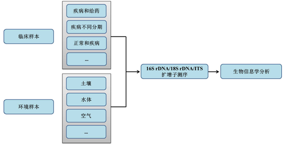 伯豪生物微生物 16S/18S/ITS 测序方案策略