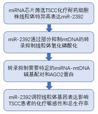 miRNA 芯片案例二研究思路