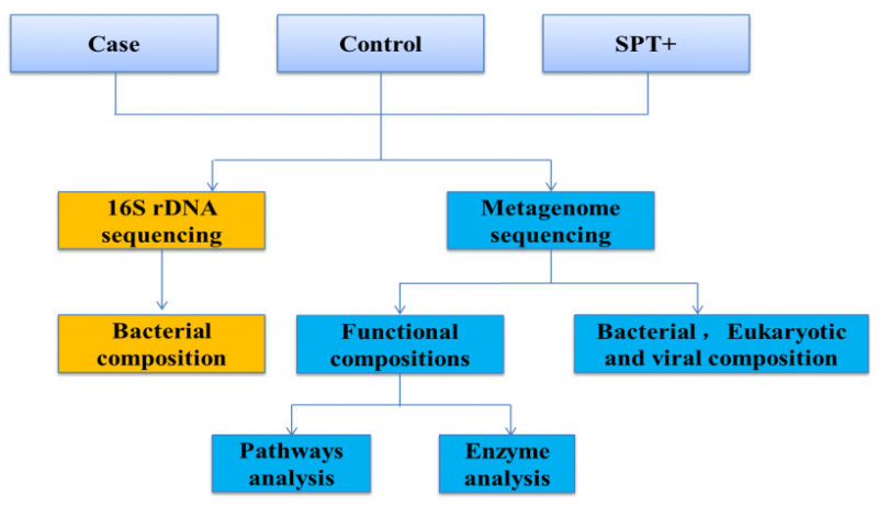 16S 加宏基因组测序研究路线图