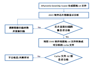 Affymetrix OncoScan FFPE 芯片项目流程