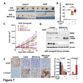 QQ 截图 20191204141119