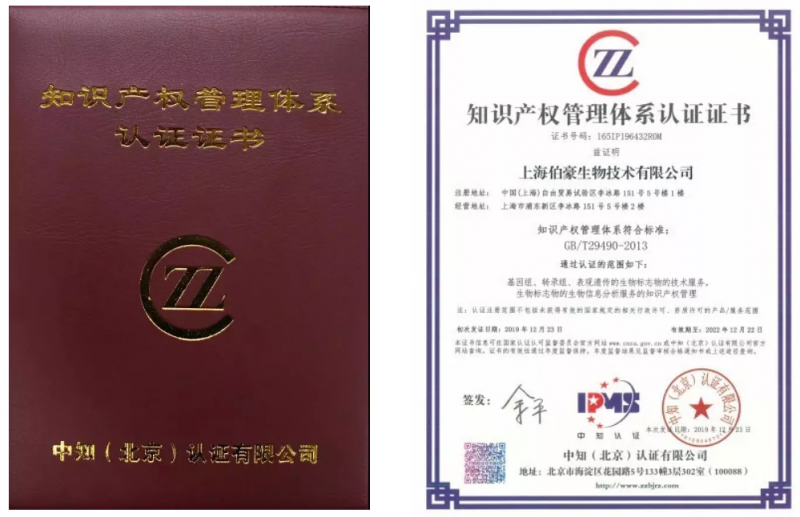 伯豪生物荣获知识产权管理体系认证证书